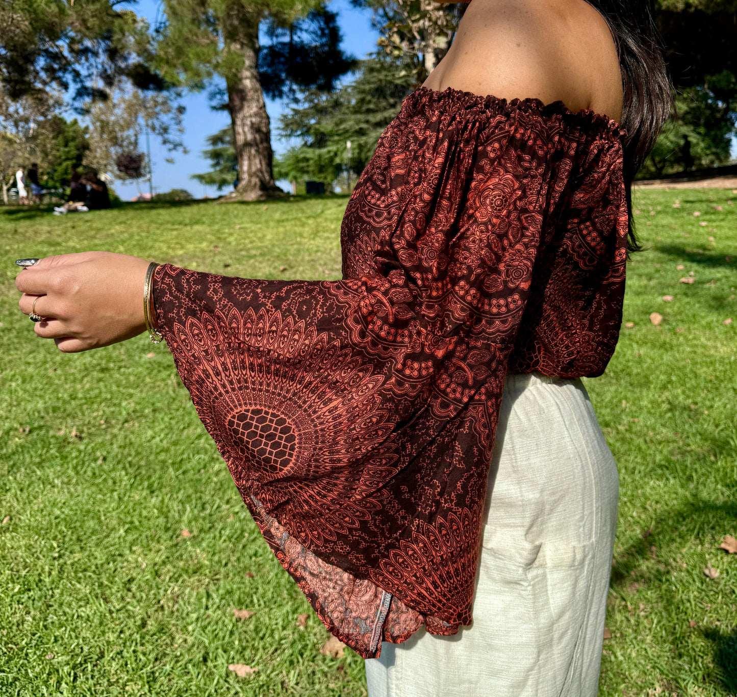 Brown Hearty Off Shoulder with Flowy Sleeves Crop Top